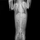 천지동물병원 이미지