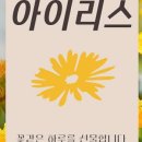 삼보꽃집 네이버블로그