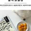 달래(Dalae) 이미지