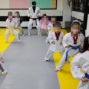 경희대 진 태권도 이미지