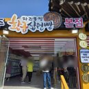 황금십원빵 티스토리