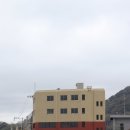 이국적인 봄 이미지