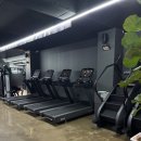 스틸짐 | [서신동헬스장] 역대급 시설에 반하다! 전주 프리미엄 헬스장 스틸짐 후기