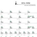 제주도푸른밤