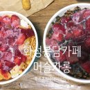 머슬카롱 이미지
