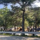 홍천캠핑텔 이미지