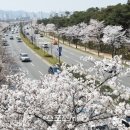 [도로]행정타운 사거리 이미지