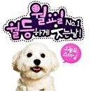 Sometimes When It Rains / Secret Garden 이미지
