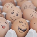 믿음축산농장 이미지