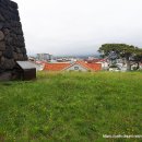 연동연대 이미지