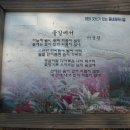 무선초등학교 이미지