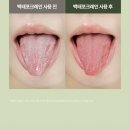오던톨로지