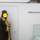 안다켄넬반려견을품에안다