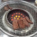 푸른마을난농장