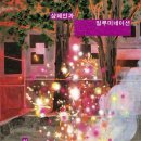사랑애피아노 | 샴페인과 일루미네이션