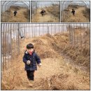 농부삼촌
