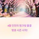 인천대공원(식물원 뒤) | 4월의 인천, 벚꽃이 터진다! 인천대공원 벚꽃축제 제대로 즐기는 법