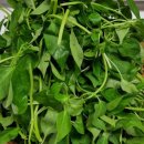 와 싸다 장터 이미지