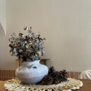 녹차카페 이미지