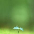 두손에담다