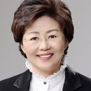 소수의원 이미지