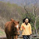 연천승마공원 이미지