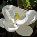 선문대학교 글로컬통합대학원 이미지