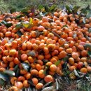 각남면사무소 이미지