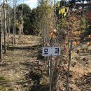 모과목장 이미지