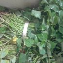 세인푸드 이미지