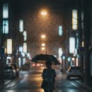 앙상블 오푸스 ’음악, 그 너머의 아름다움’ | 영화 파반느 결말 해석, 넷플릭스에서 꼭 봐야 하는 이유 (스포/후기)