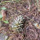 주문진펜션 청유 이미지