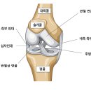 청록한의원 이미지
