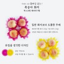 해바라기과일
