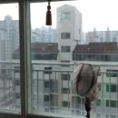 평촌동-1 이미지