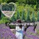 느티나무cafe | 양산 카페 느티나무의사랑 라벤더 축제기간 예약 방문 솔직 후기 주차 시간