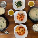 하수오곰탕