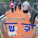 피자가기가막혀 | 5주년 기념, 초면이야 묵호호🌊