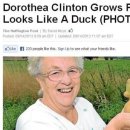 정원오리농장 이미지