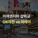 OK포인트마트 | 미야코지마 다이빙숍 비교 OK마린 vs 마레아 어디가 더 잘 맞을까