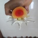 이도한의원 이미지