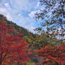 일원본-103 이미지