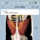 피트밀리짐시지알파시티점 네이버블로그