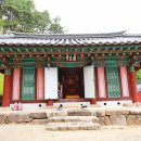 도림사 Daum카페