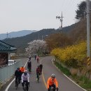 보령투어 이미지