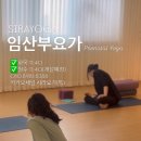 12주 요가 클래스 이미지