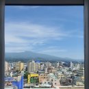 THE M(더엠) 이미지