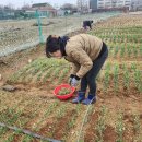 복남 농장 이미지