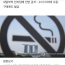 흡연자 싱가포르여행 '비상'…전자담배 소지만해도 벌금 163만원 이미지