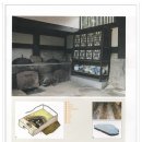 삼진문화사 Daum카페